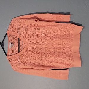 Ann Taylor Loft sweater